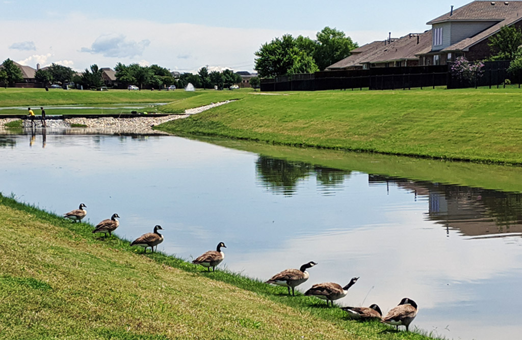 Two Sunset Pointe, Homeowners Association, Little Elm, Texas, HOA